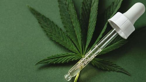 Saiba mais sobre a cannabis11