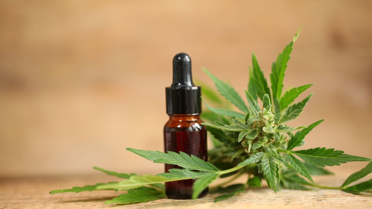   "A Cannabis muda vidas": médica destaca importância da MCF que retorna ano que vem!!!