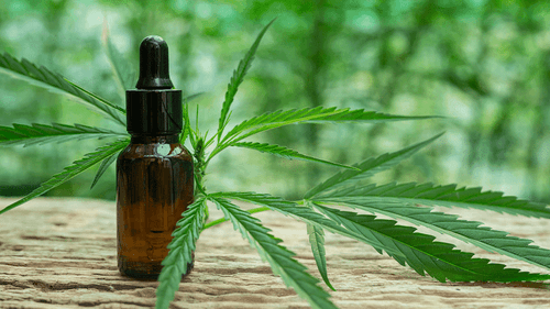 Formas de acesso aos produtos de cannabis no Brasil!